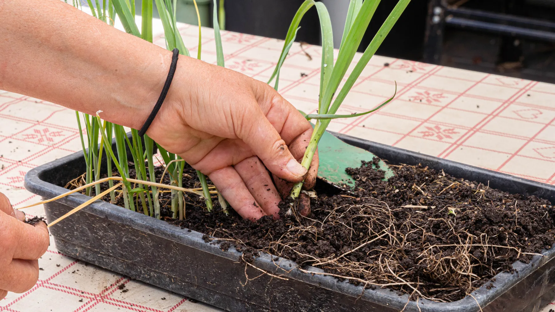 Inspirez votre équipe et initiez-les à la permaculture et à l'agroécologie avec Didier - Image n°2 - Wecandoo