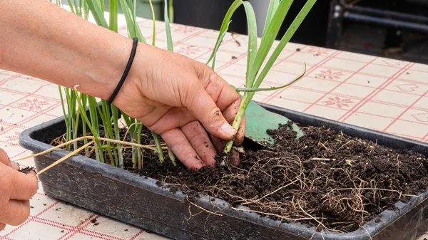 Inspirez votre équipe et initiez-les à la permaculture et à l'agroécologie avec Didier - Image n°2 - Wecandoo