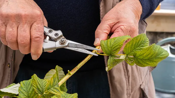 Inspirez votre équipe et initiez-les à la permaculture et à l'agroécologie avec Didier - Image n°3 - Wecandoo