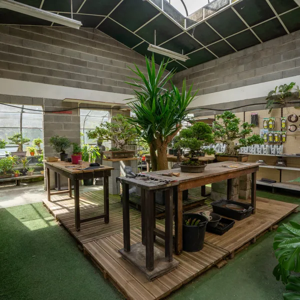 4 Rue Toussaint Deniaud