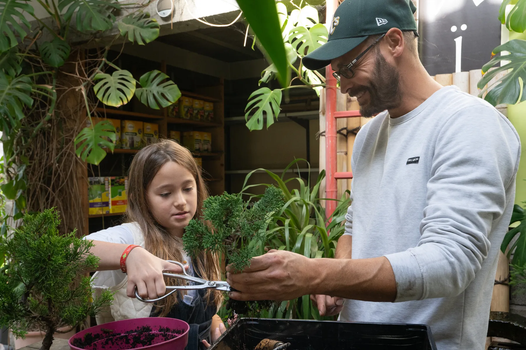 Réalisez votre bonsaï avec Tanguy - Image n°3 - Wecandoo