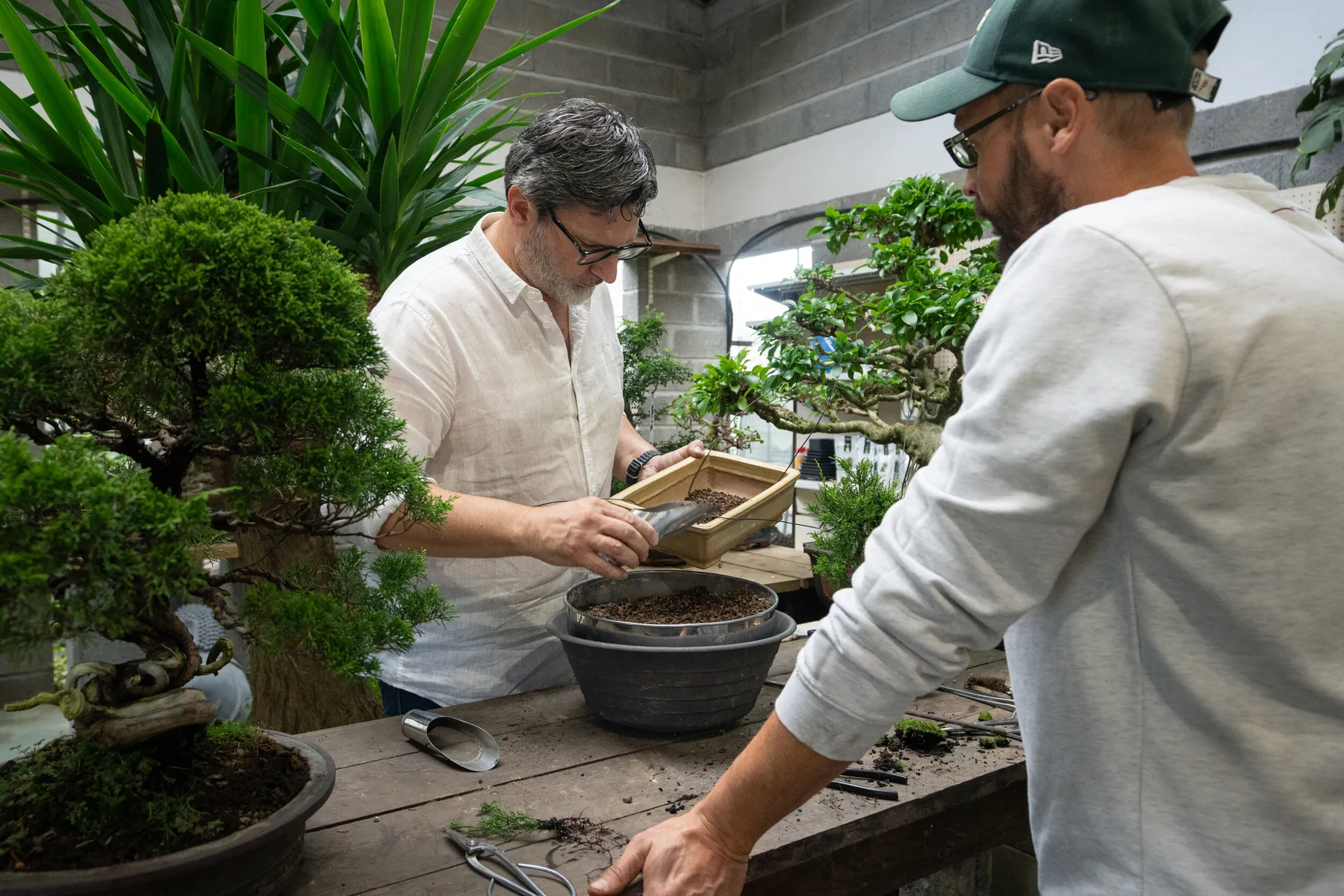 Réalisez votre bonsaï avec Tanguy - Image n°4 - Wecandoo