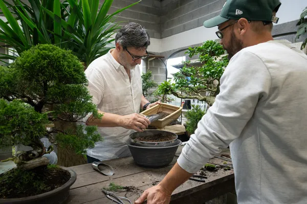 Réalisez votre bonsaï avec Tanguy - Afbeelding nr. 4 - Wecandoo