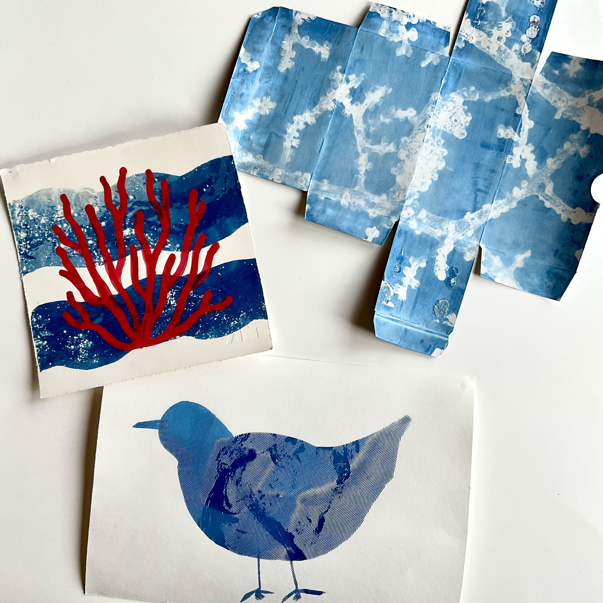 Wecandoo - Learn everything about cyanotype in 4 sessions with Bernet - Image n°1