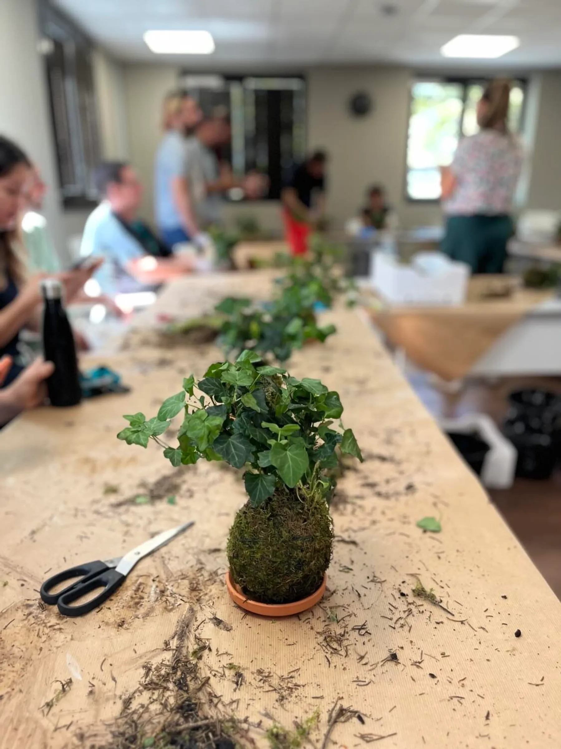 Rassembler votre équipe et créez vos kokedamas - Afbeelding nr. 4 - Wecandoo