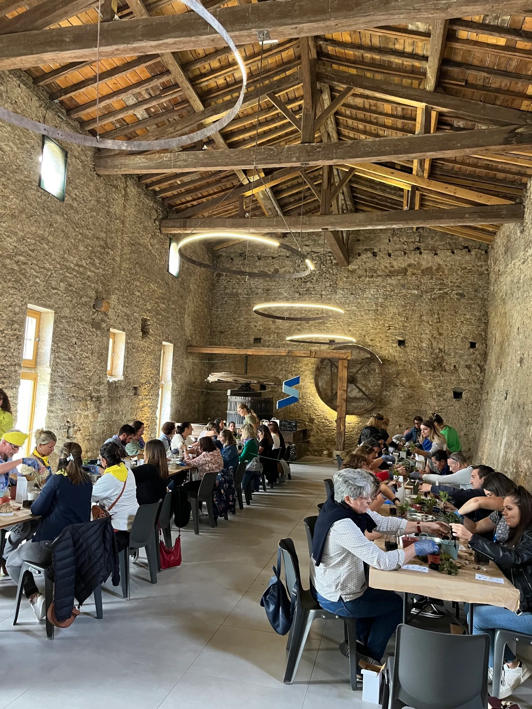 Réunissez votre équipe et créez vos terrariums - Image n°2 - Wecandoo