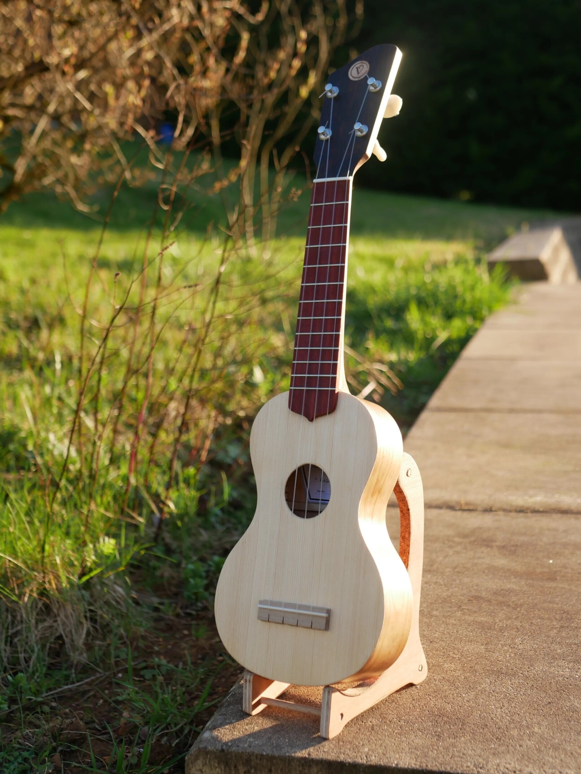 Fabriquez votre ukulélé ou mini-guitare - 3J