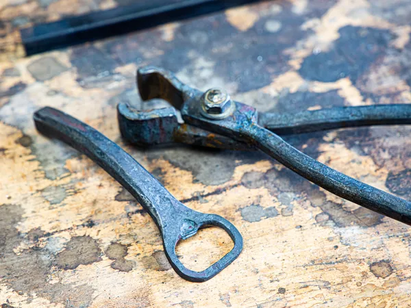 Initiez-vous à la forge avec Romain - Image n°2 - Wecandoo