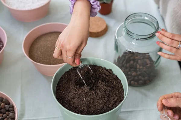 Enchantez votre équipe et réalisez chacun un terrarium unique avec Anaïs et Laurélyne - Afbeelding nr. 1 - Wecandoo