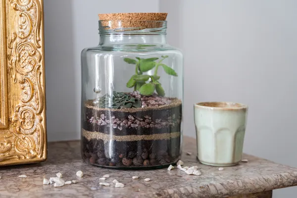 Enchantez votre équipe et réalisez chacun un terrarium unique avec Anaïs et Laurélyne - Afbeelding nr. 4 - Wecandoo