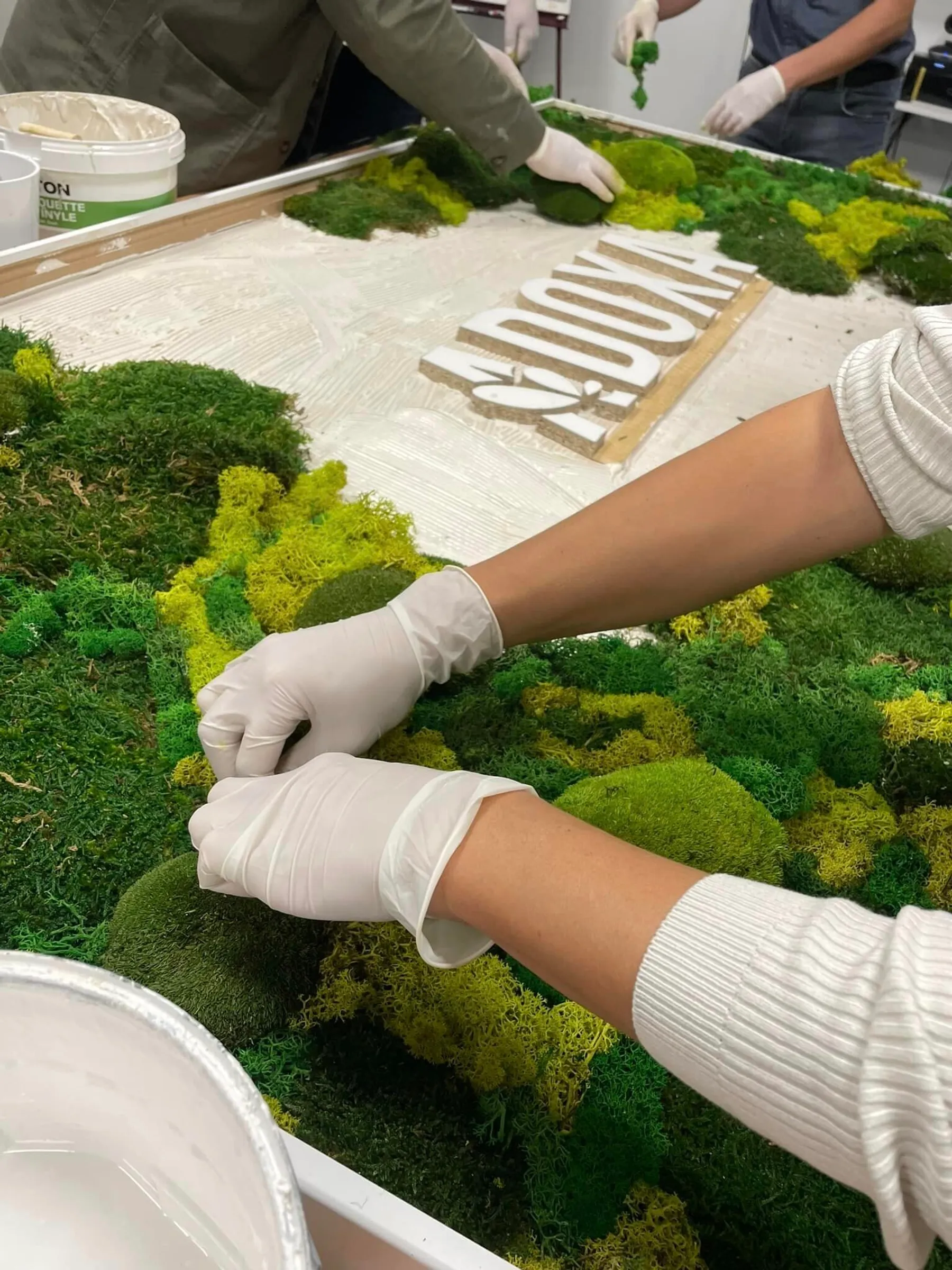 Réunissez votre équipe et créez votre panneau végétal avec Julien - Image n°1 - Wecandoo