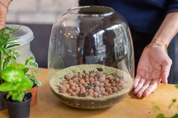 Emerveillez votre équipe et fabriquez des terrariums lumineux pour décorer vos bureaux avec Aude - Image n°2 - Wecandoo