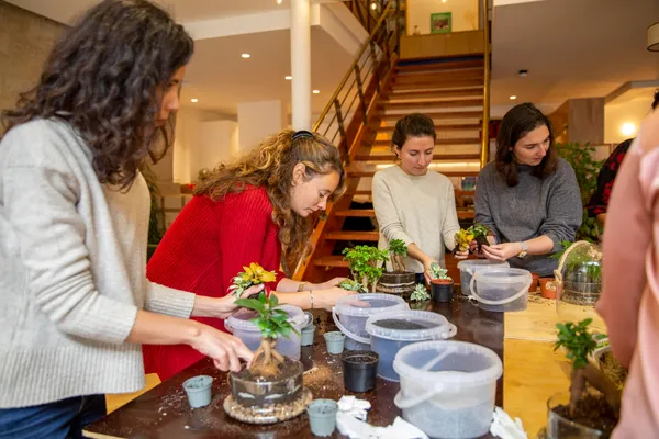 Emerveillez votre équipe et fabriquez des terrariums lumineux pour décorer vos bureaux avec Aude - Image n°3 - Wecandoo