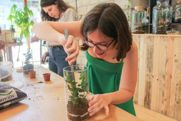 Rassemblez votre équipe et réalisez vos petits terrariums lumineux avec Aude - Image n°4 - Wecandoo