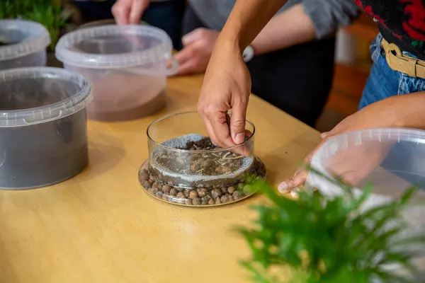 Rassemblez votre équipe et réalisez vos petits terrariums lumineux avec Aude - Image n°2 - Wecandoo