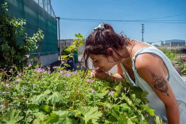 Enchantez votre équipe et réalisez vos boutures dans une ferme urbaine avec l'équipe de La Sauge - Image n°4 - Wecandoo