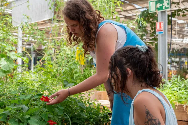 Enchantez votre équipe et réalisez vos boutures dans une ferme urbaine avec l'équipe de La Sauge - Image n°2 - Wecandoo