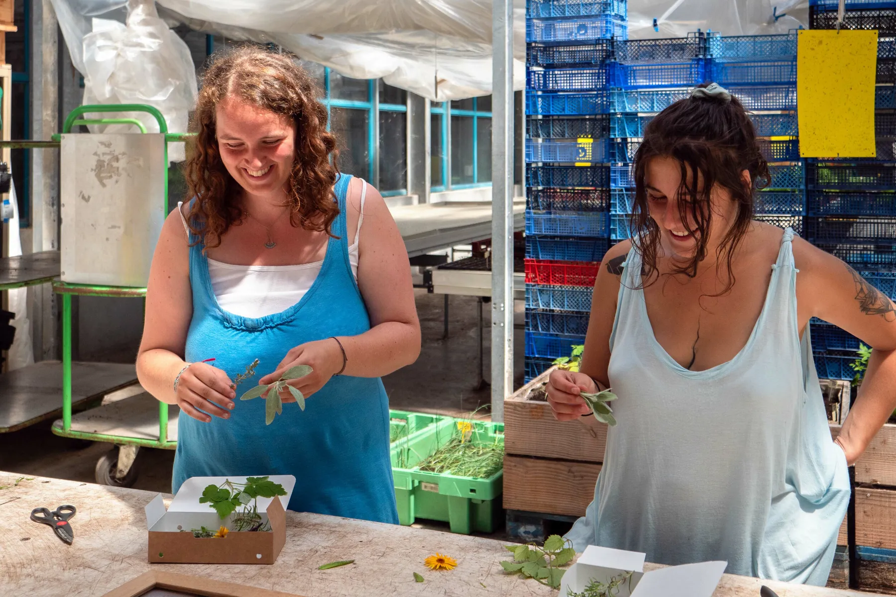 Enchantez votre équipe et réalisez vos boutures dans une ferme urbaine avec l'équipe de La Sauge - Image n°3 - Wecandoo
