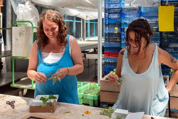 Enchantez votre équipe et réalisez vos boutures dans une ferme urbaine avec l'équipe de La Sauge - Image n°3 - Wecandoo