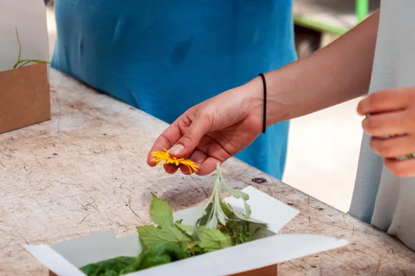 Enchantez votre équipe et réalisez vos boutures dans une ferme urbaine avec l'équipe de La Sauge - Image n°1 - Wecandoo