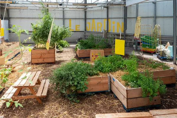 Captivez votre équipe et découvrez les secrets d'une pépinière, de la graine à la bouture, avec l'équipe de La Sauge - Image n°4 - Wecandoo