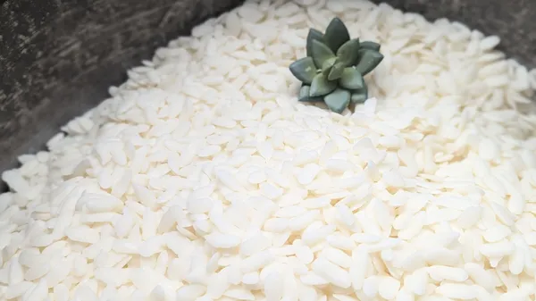 Réalisez votre bougie marbrée avec Fabrice - Afbeelding nr. 2 - Wecandoo