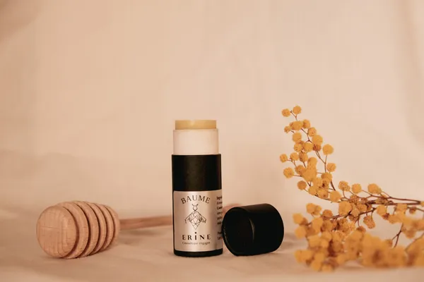 Rassemblez votre équipe pour une immersion virtuelle au coeur d'une ruche avec Sébastien - Afbeelding nr. 5 - Wecandoo