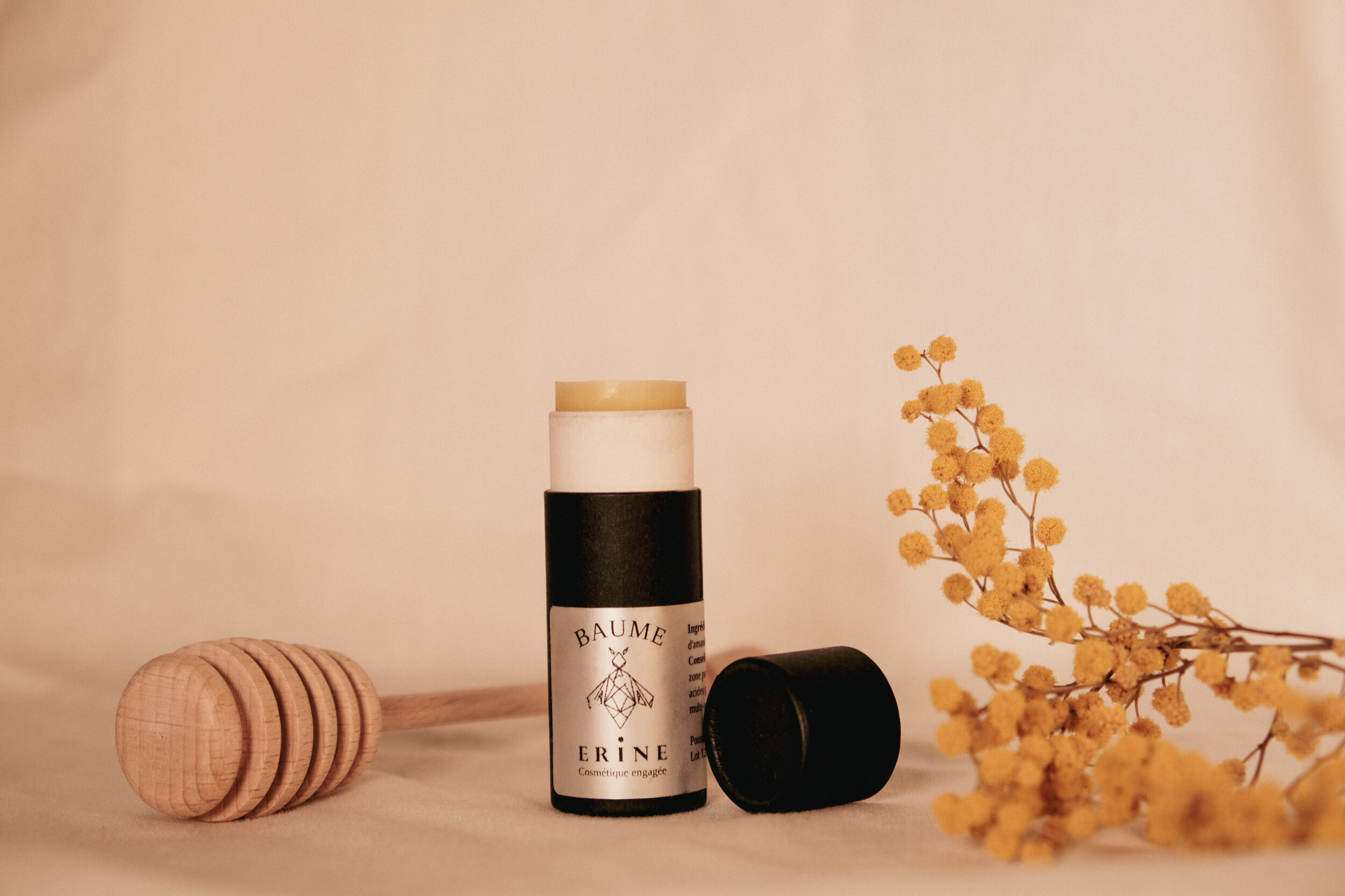 Découvrez les secret d'une ruche en équipe