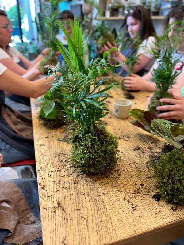 Rassembler votre équipe et créez vos kokedamas - Image n°2 - Wecandoo