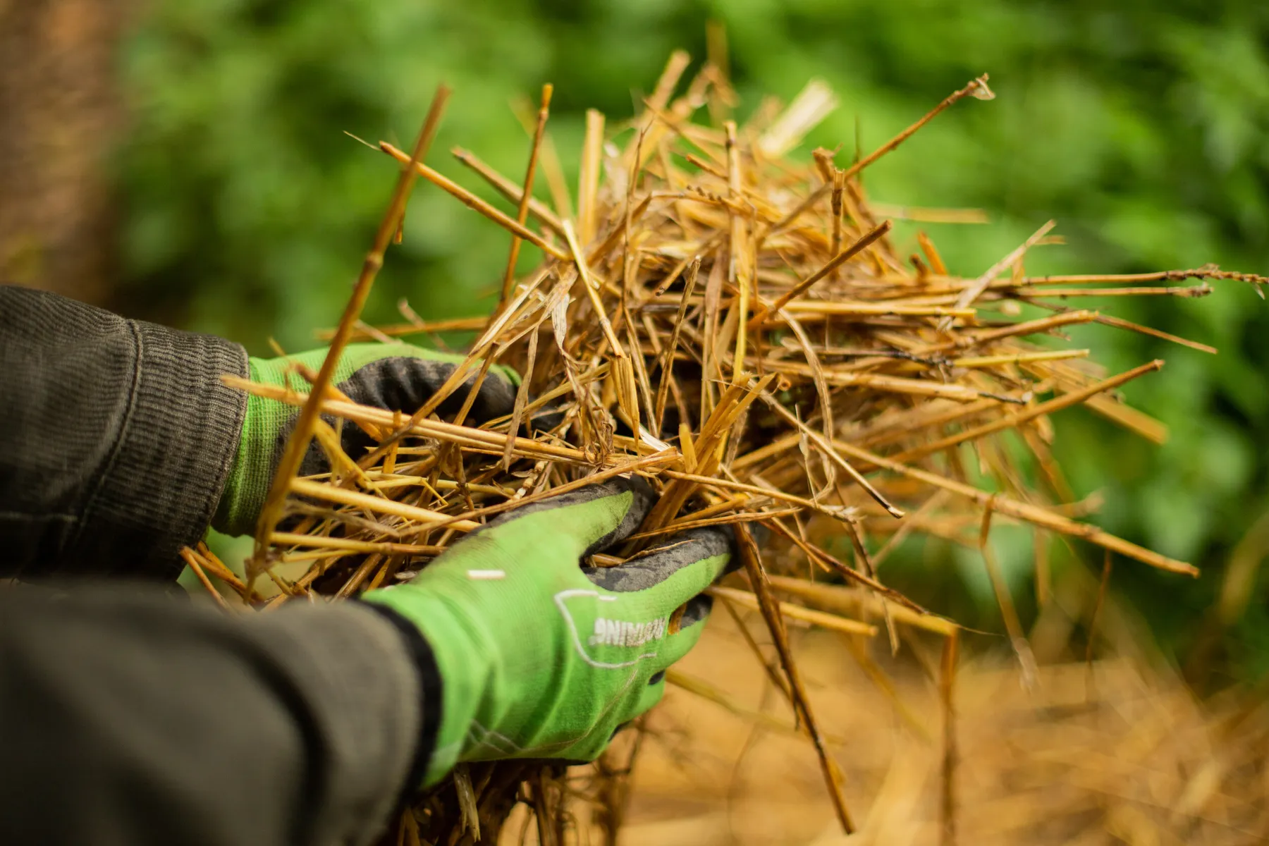 Initiez-vous à la permaculture avec Philippe - Image n°1 - Wecandoo