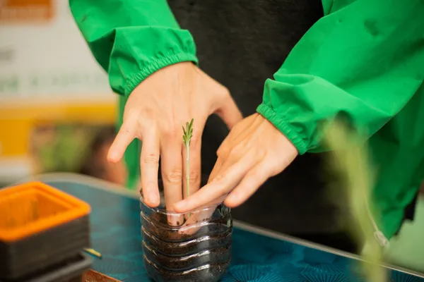 Apprenez à cultiver votre potager sans arrosage avec Philippe - Image n°3 - Wecandoo