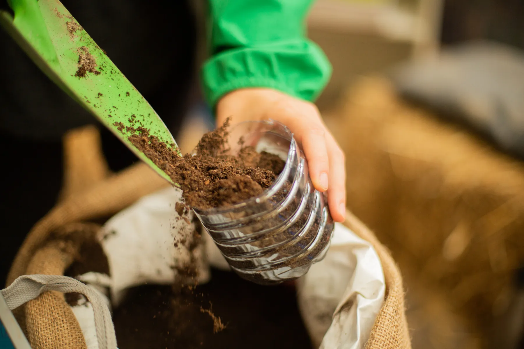 Apprenez à cultiver votre potager sans arrosage avec Philippe - Image n°1 - Wecandoo