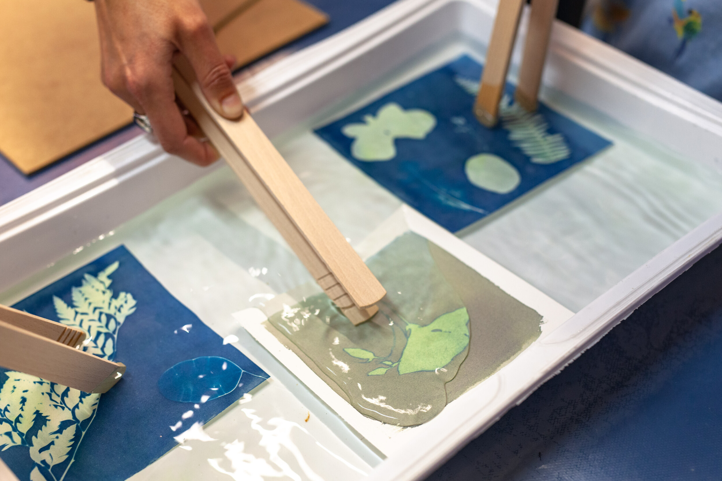 Wecandoo - Initiez-vous au cyanotype avec Sarah - Image n°3