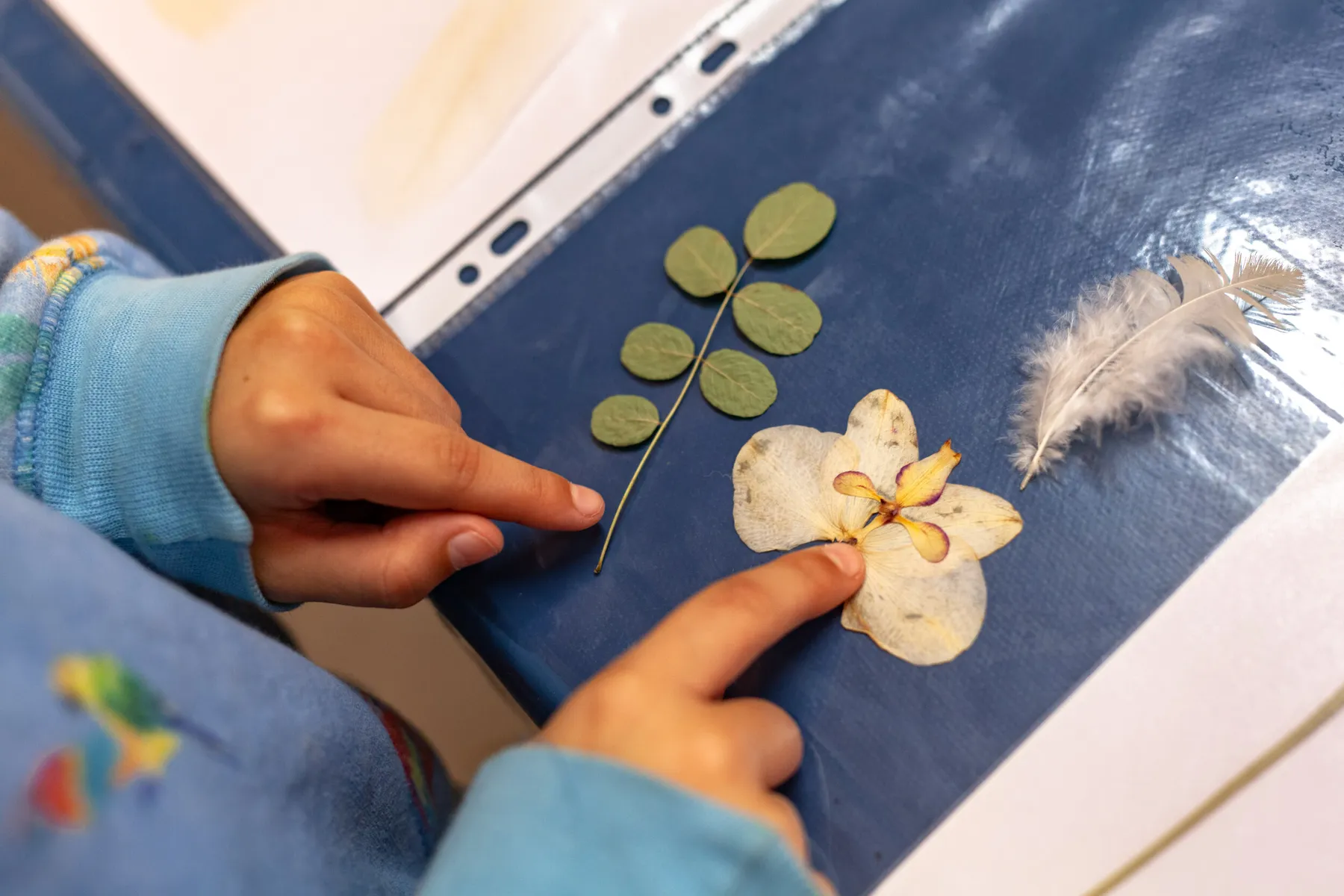 Initiez-vous au cyanotype avec Sarah - Image n°2 - Wecandoo