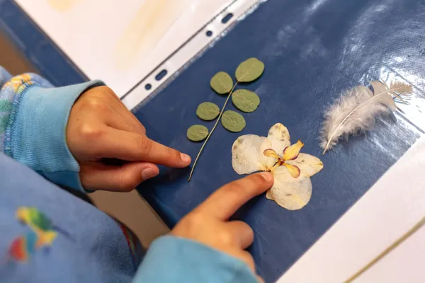 Initiez-vous au cyanotype avec Sarah - Afbeelding nr. 2 - Wecandoo