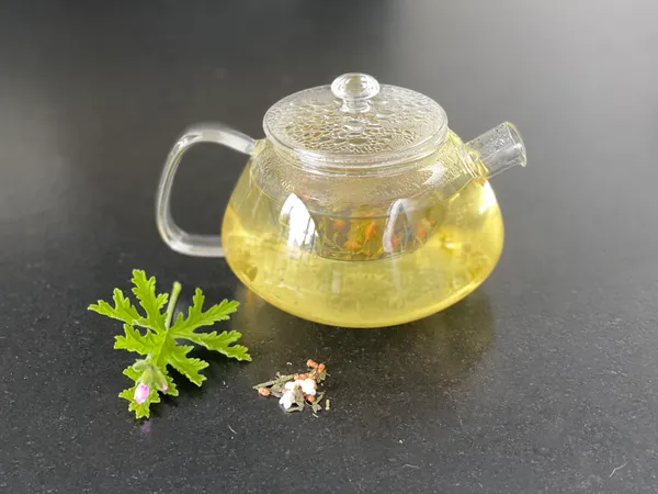 Créez vos infusions en équipe et participez à une dégustation avec Cécile - Image n°5 - Wecandoo