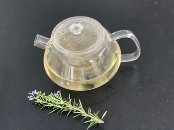 Créez vos infusions et repartez avec votre plante