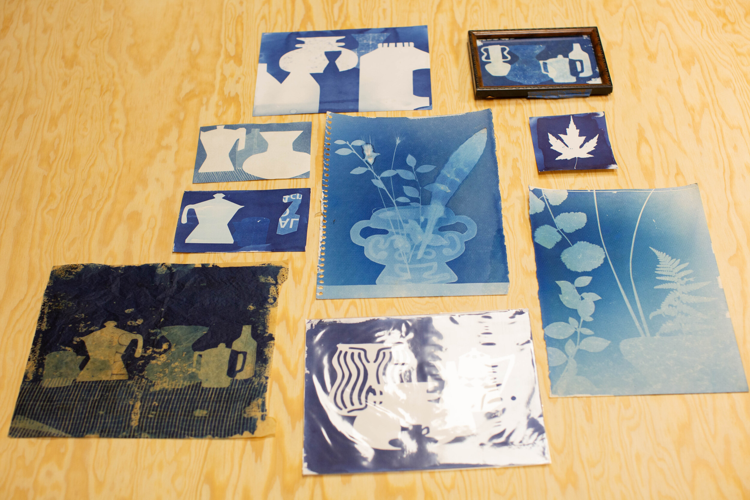 Wecandoo - Initiez-vous à l'impression cyanotype avec Thomas - Image n°5