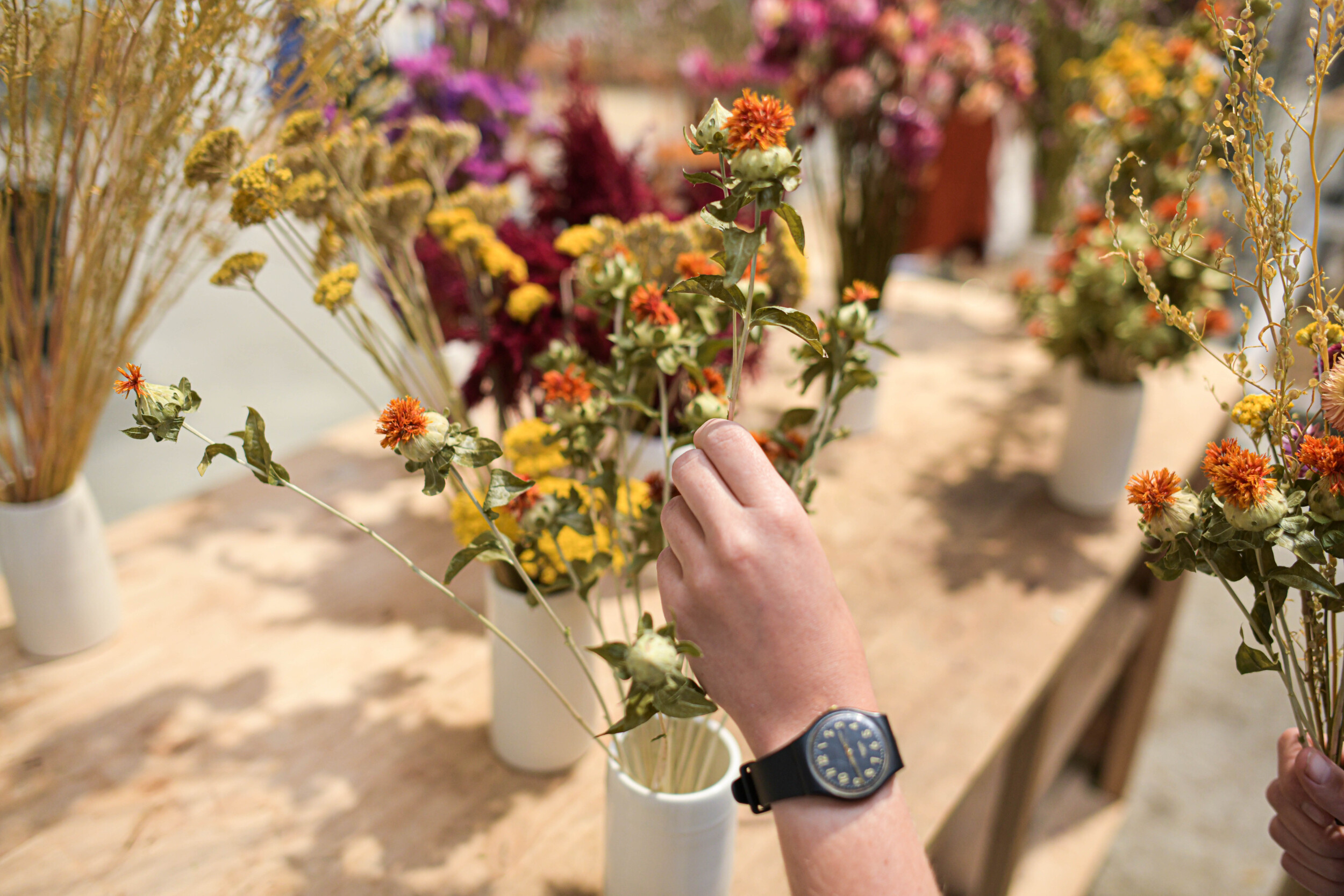 Wecandoo - Réalisez votre bouquet de fleurs séchées françaises - Image n°7