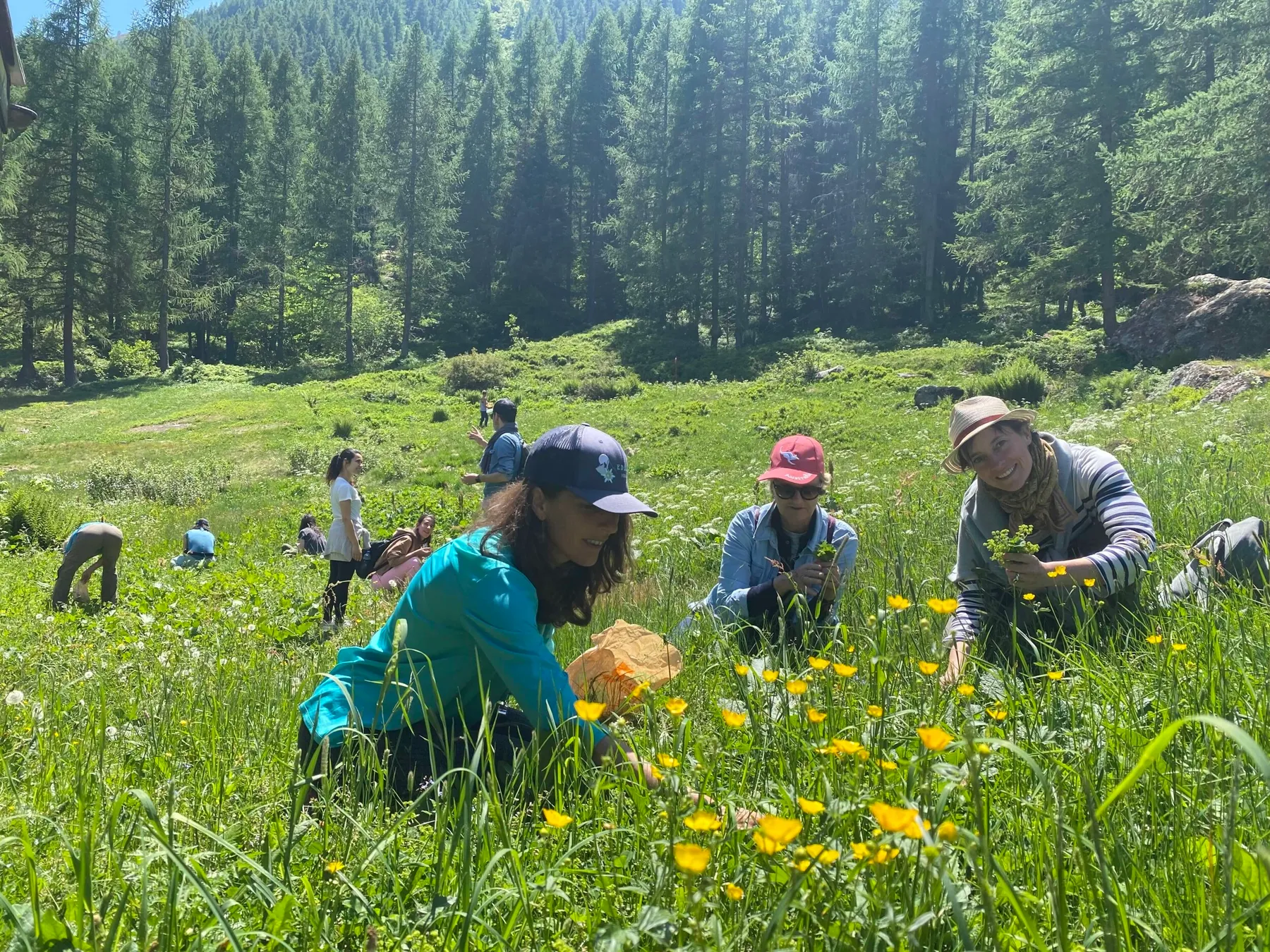 Initiez-vous à la cueillette sauvage et transformez votre récolte avec Maritza - Image n°2 - Wecandoo