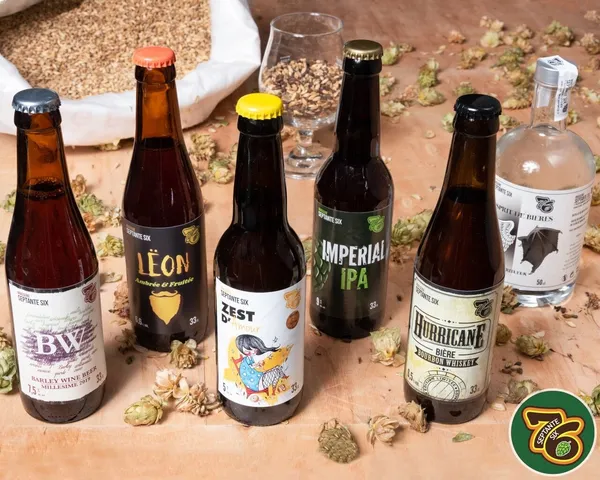 Rassemblez votre équipe et dégustez des bières accompagnées d'un bon repas avec Sébastien - Image n°5 - Wecandoo