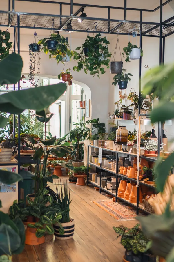 Apprenez à prendre soin des plantes avec Audrey - Image n°2 - Wecandoo