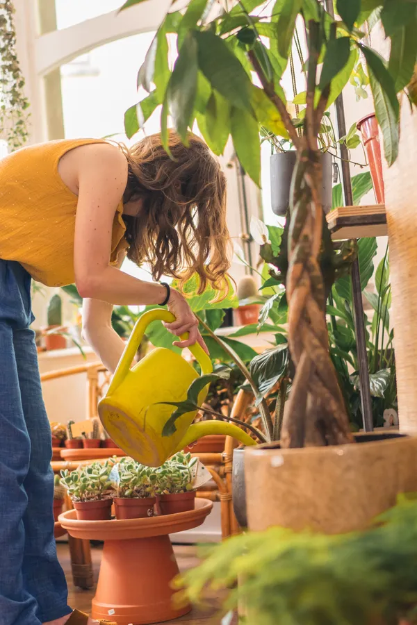 Apprenez à prendre soin des plantes avec Audrey - Image n°4 - Wecandoo