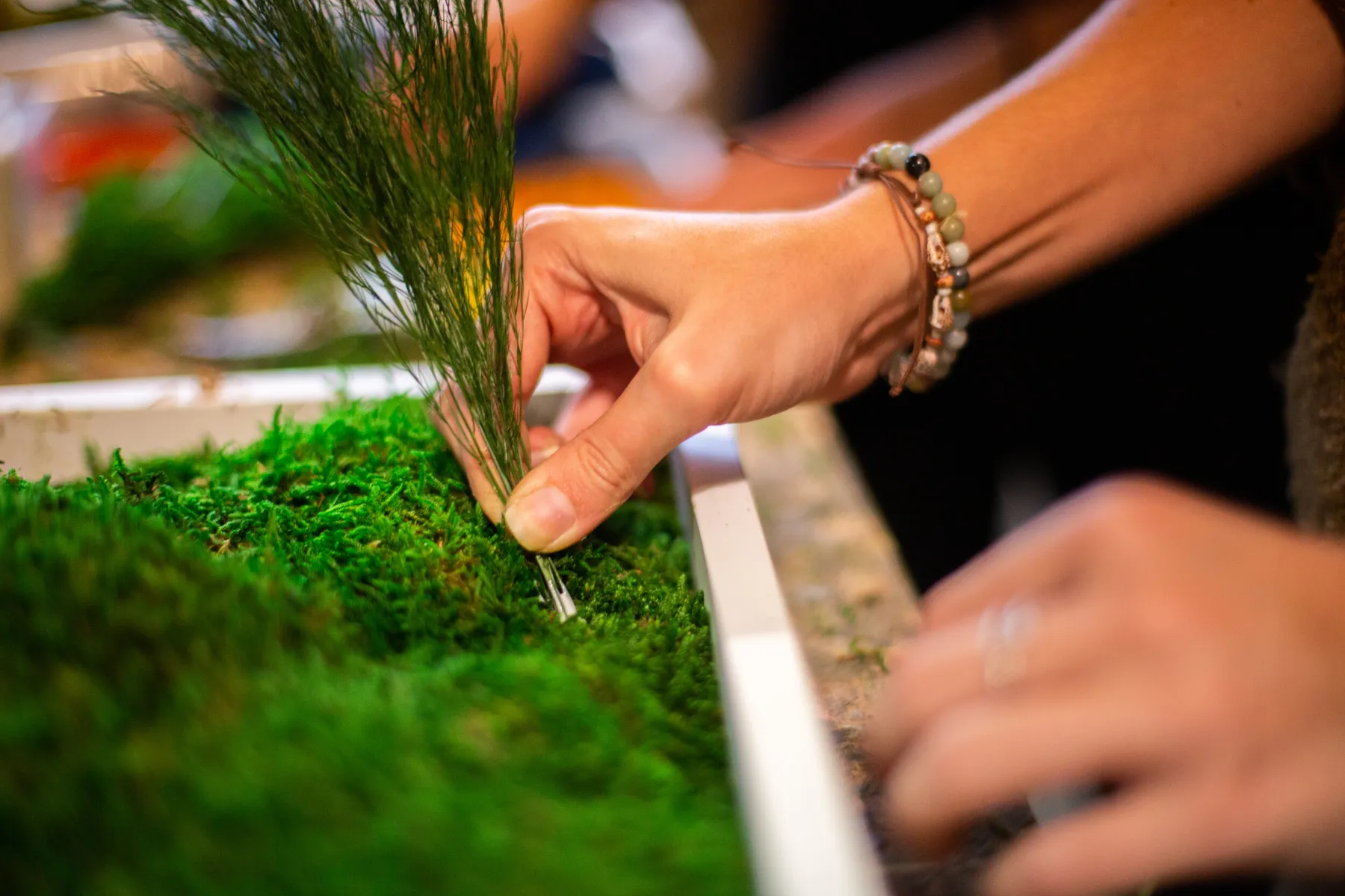 Réalisez votre tableau végétal avec Dimitri et Laure - Image n°1 - Wecandoo