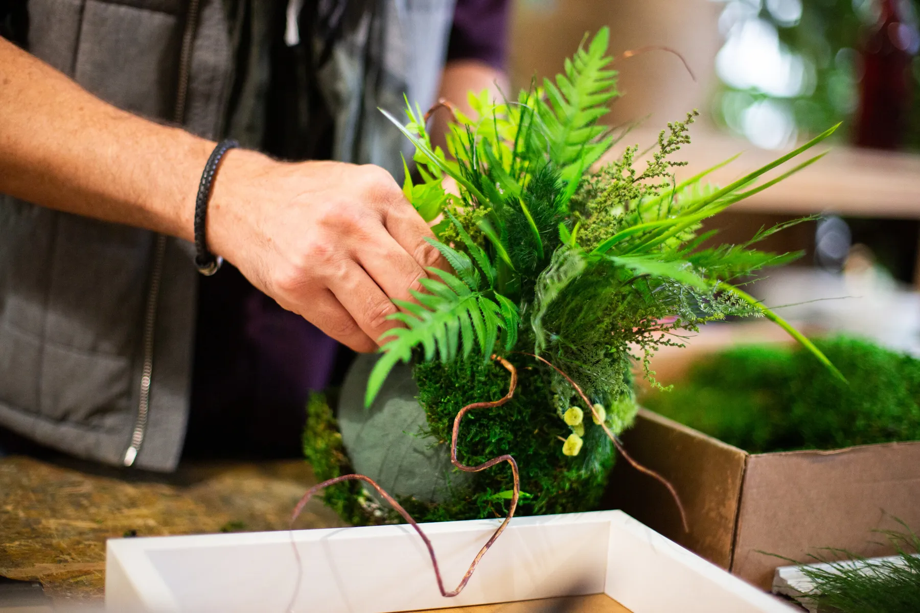 Réalisez votre kokedama avec Dimitri et Laure - Image n°3 - Wecandoo