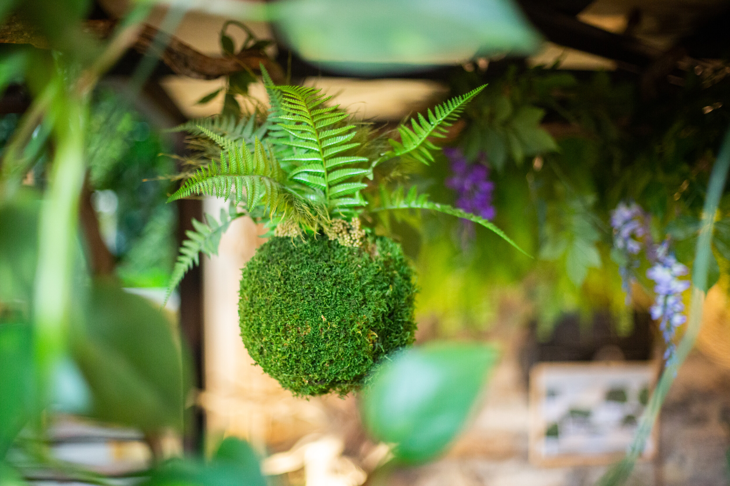 Réalisez votre kokedama