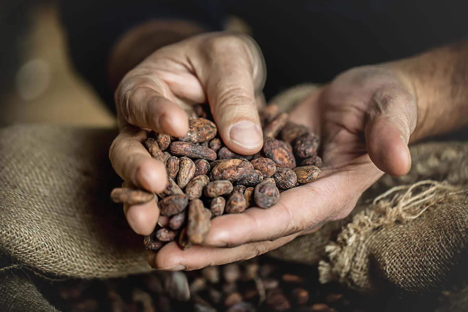 Réunissez votre équipe et plongez ensemble dans l’univers gourmand du chocolat avec Romain - Afbeelding nr. 1 - Wecandoo