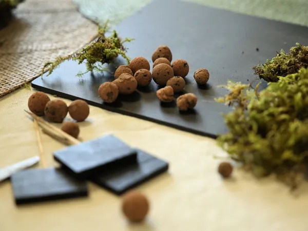 Réunissez votre équipe et créez vos terrariums avec Caroline - Image n°1 - Wecandoo