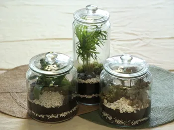 Créez vos terrariums en équipe