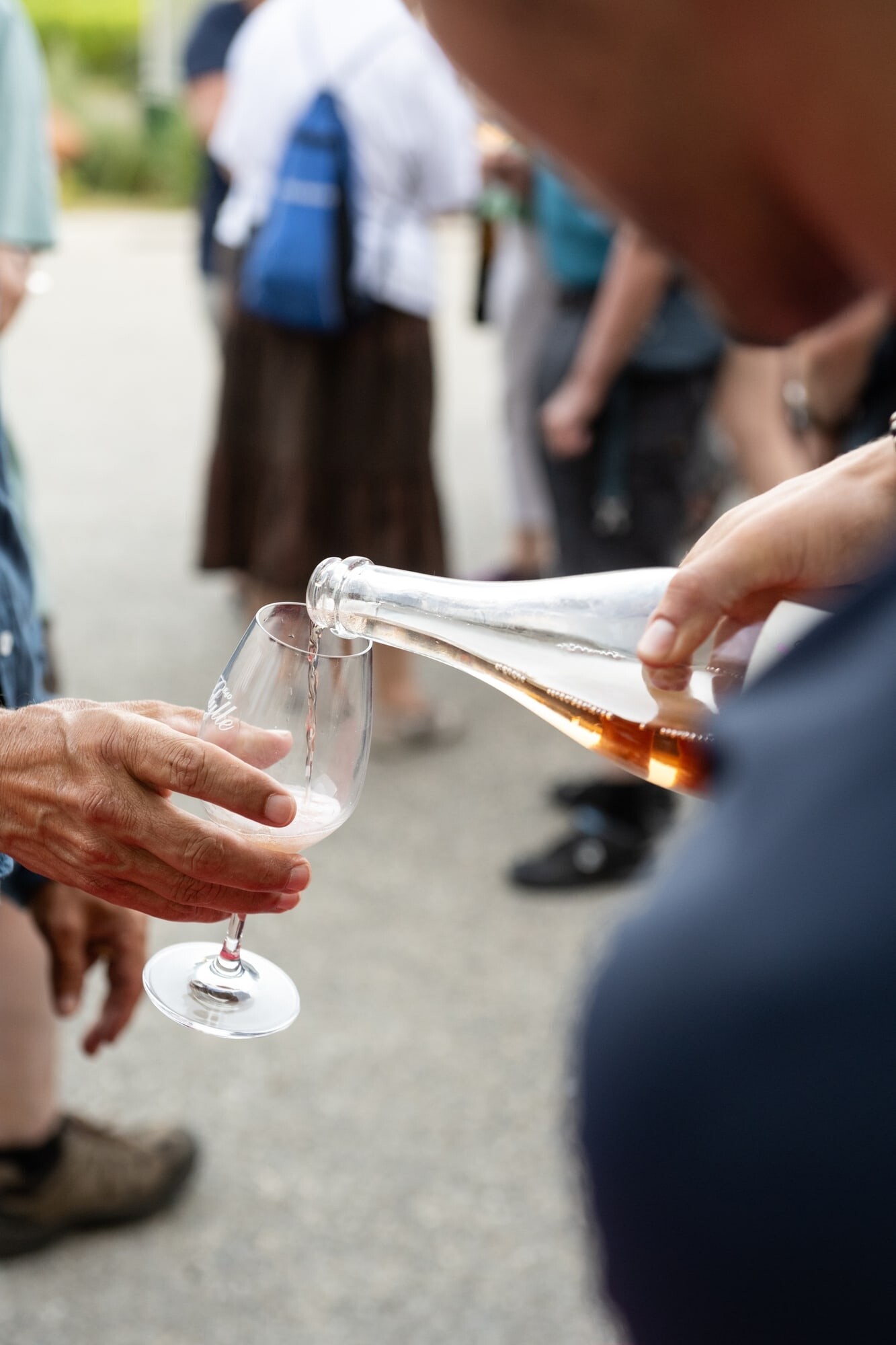 Wecandoo - Découvrez un domaine viticole alpin : visitez les vignes et la cave et dégustez des vins et des produits de terroir - Image n°11